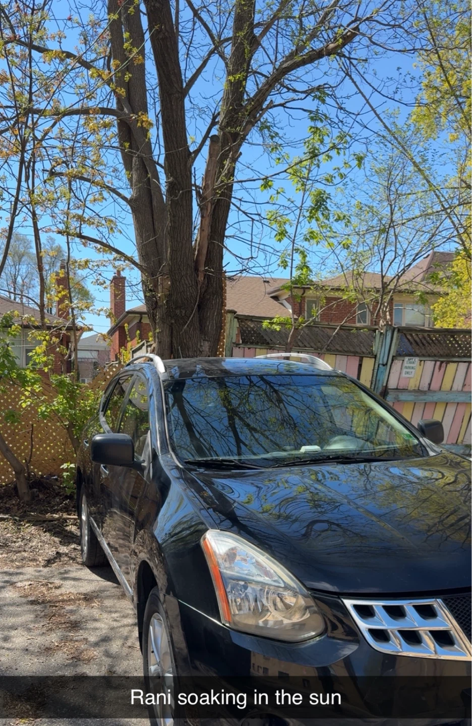 Nissan Rogue Black SUV 2015