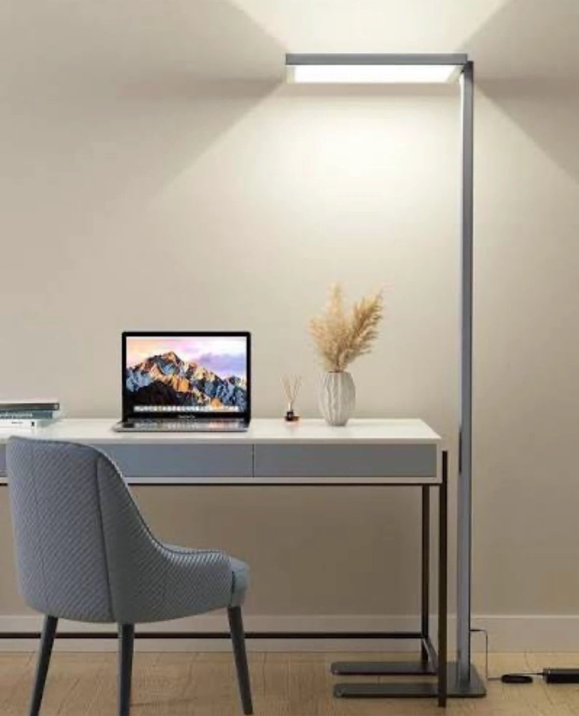 Modern LED Floor Lamp
