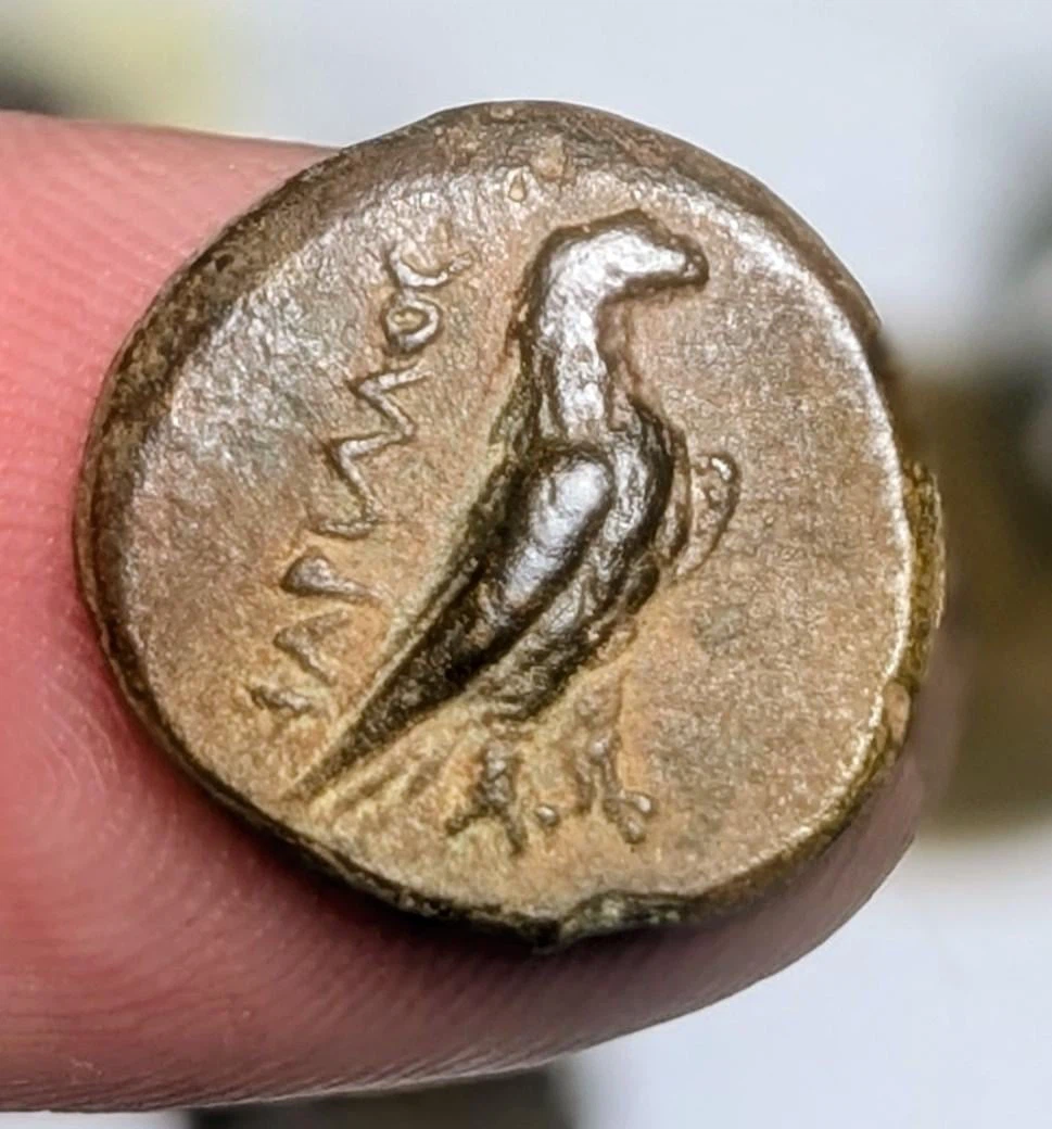 Ancient Ptolemaic Bronze Coin