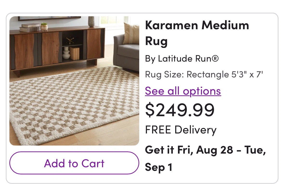 Karamen Medium Rug - Latitude Run - photo 2