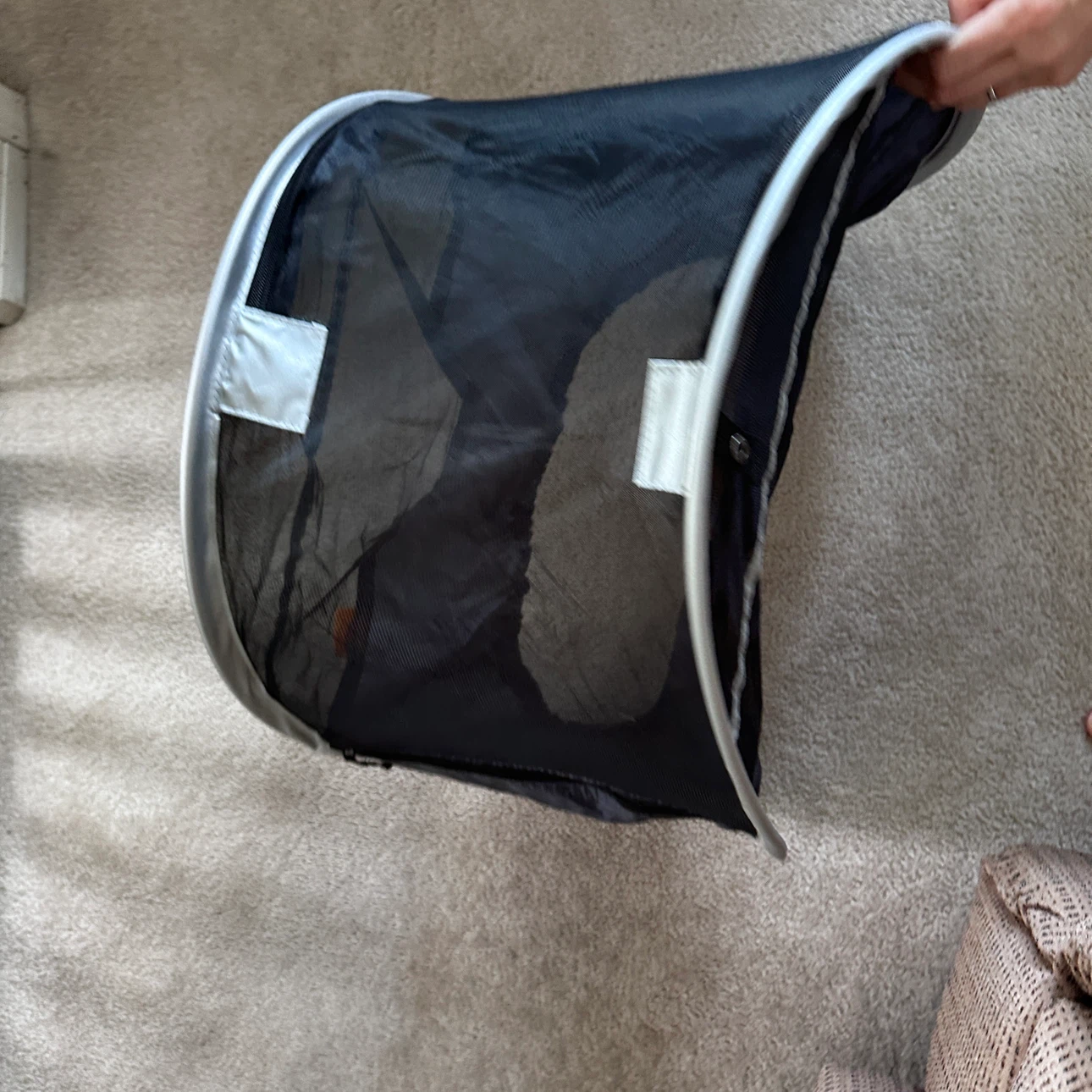 Brica Pop-Out Car Sun Shades (Set) with Carrying Case - photo 4