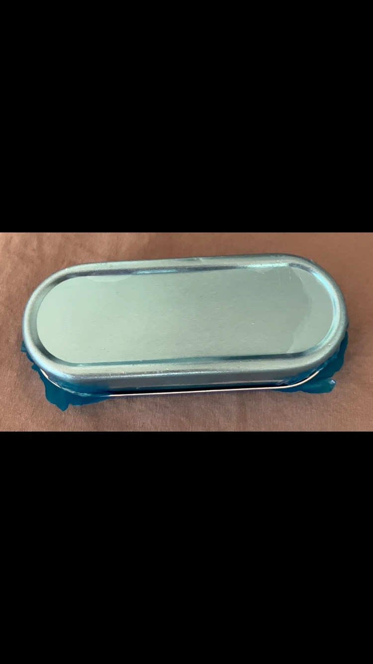 Small Stainless Steel Disinfection Box 🩶💅🏾 - photo 3