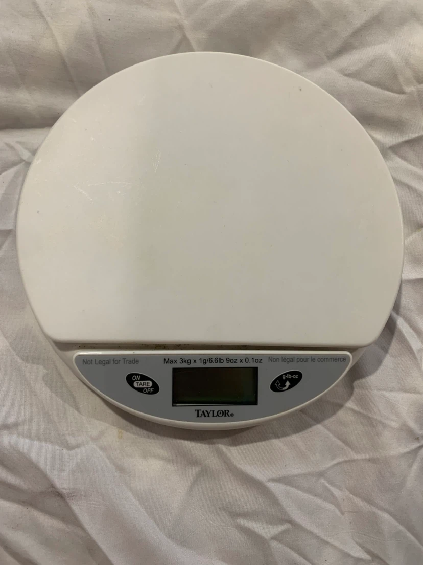 Taylor Kitchen Scale