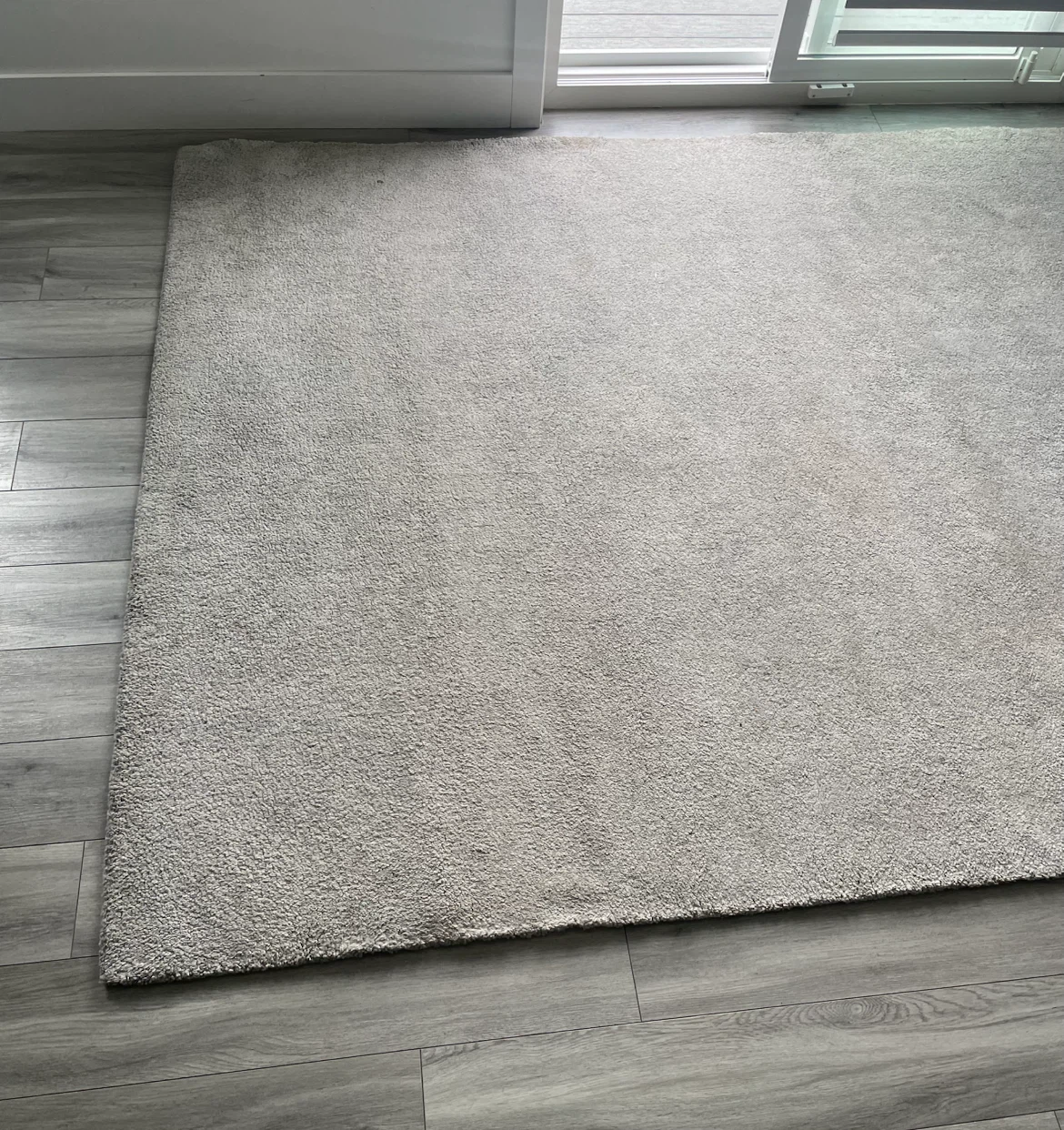 Large Rug - photo 3