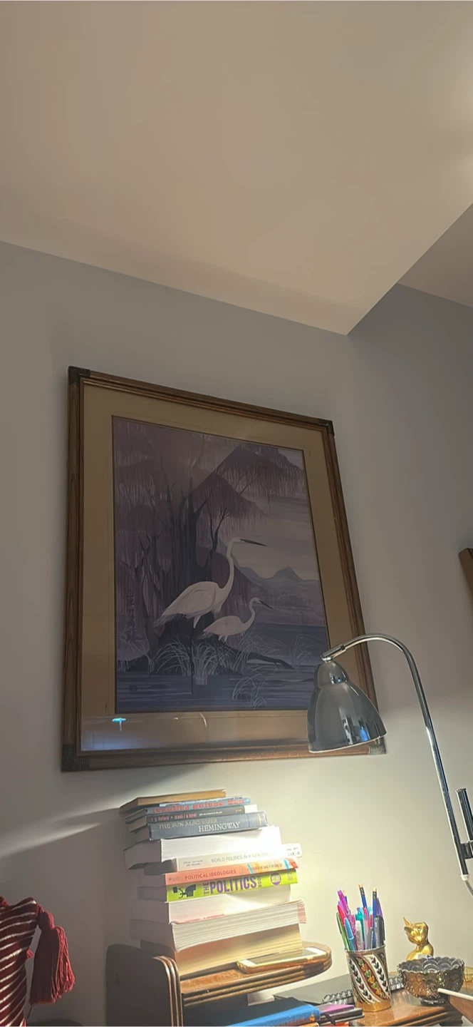 White Egrets by a Willow Tree - photo 2