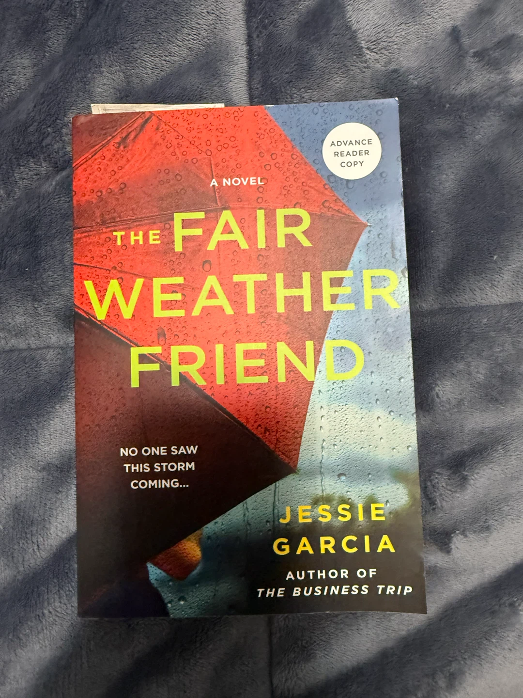 The Fair Weather Friend by Jessie Garcia - Novel