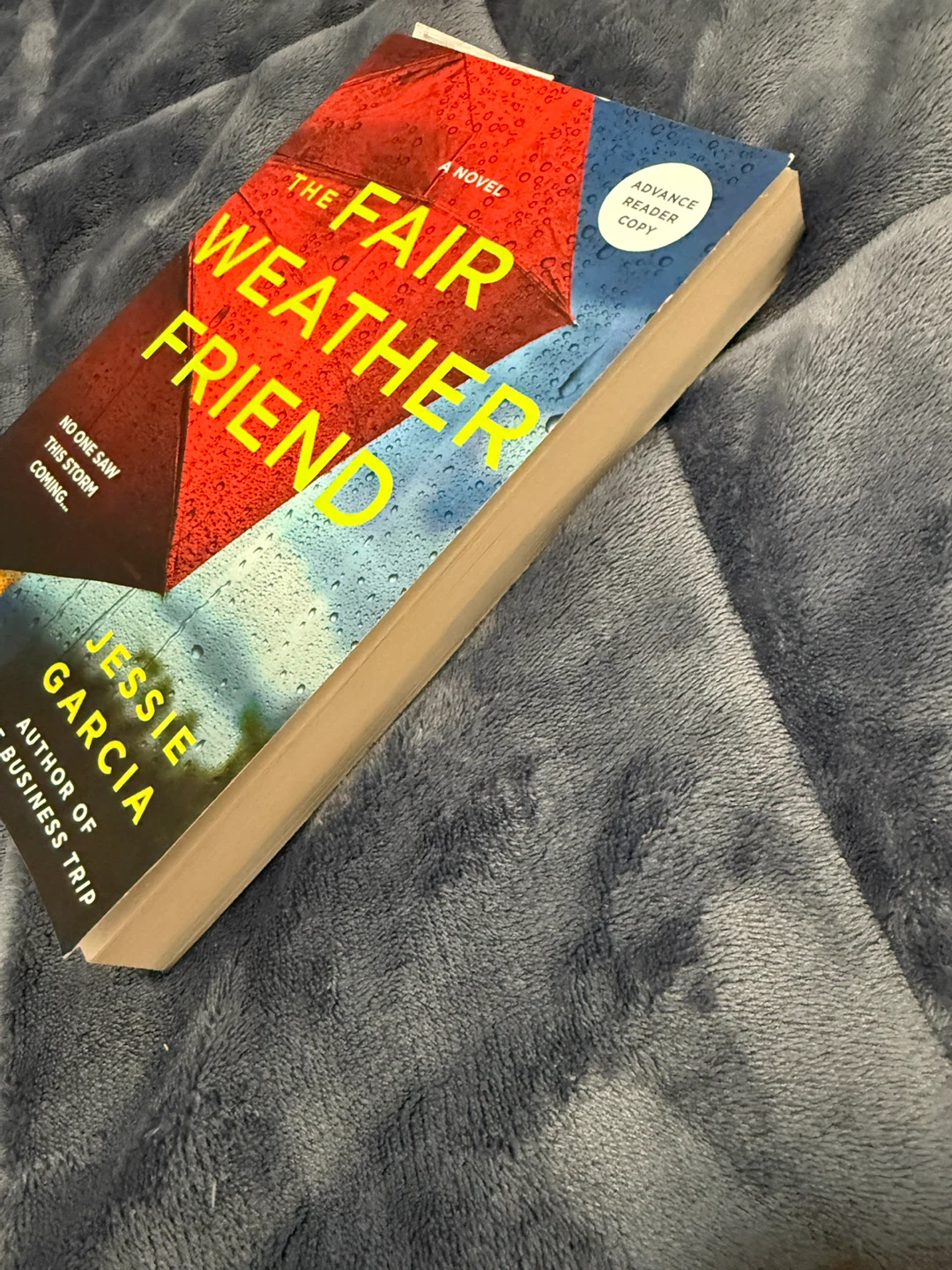 The Fair Weather Friend by Jessie Garcia - Novel - photo 3