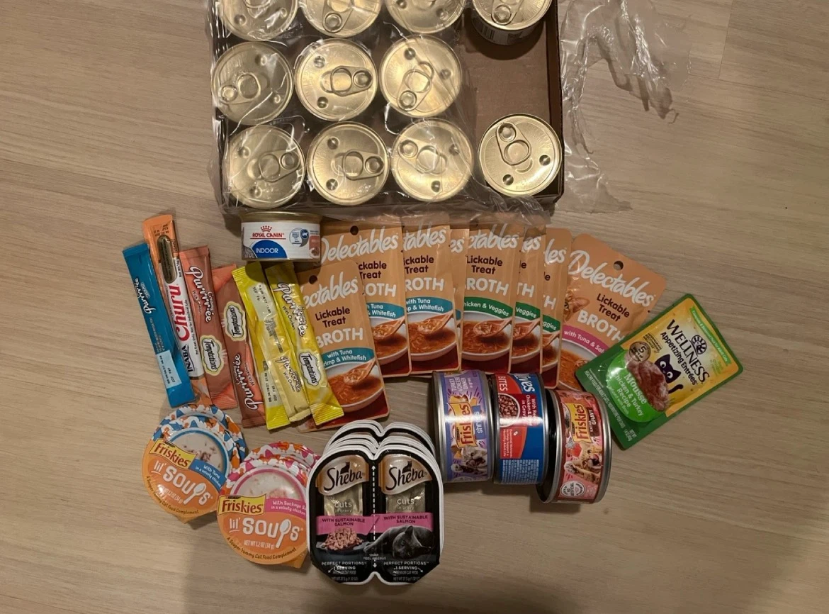 Assorted Cat Food Treats and Wet Food Variety Pack