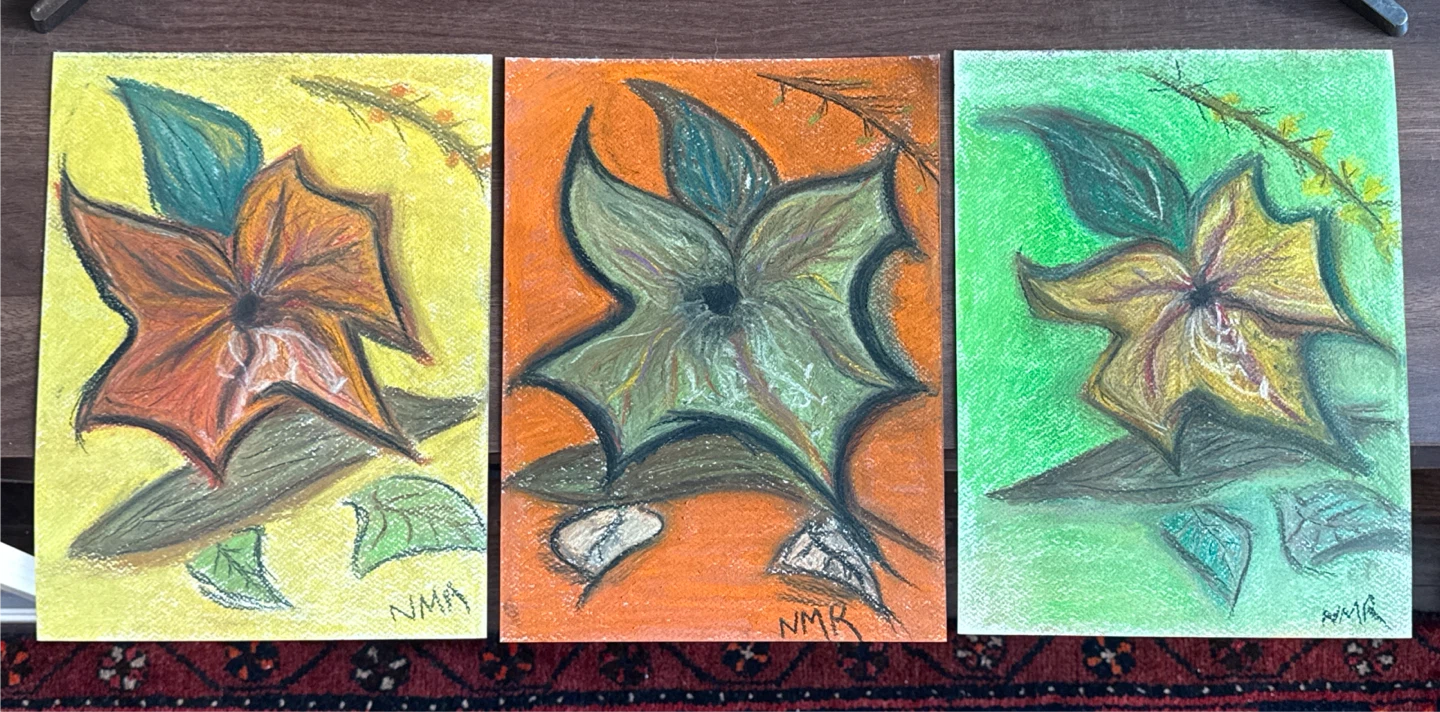 Original Set of 3 Floral Pastel Drawings