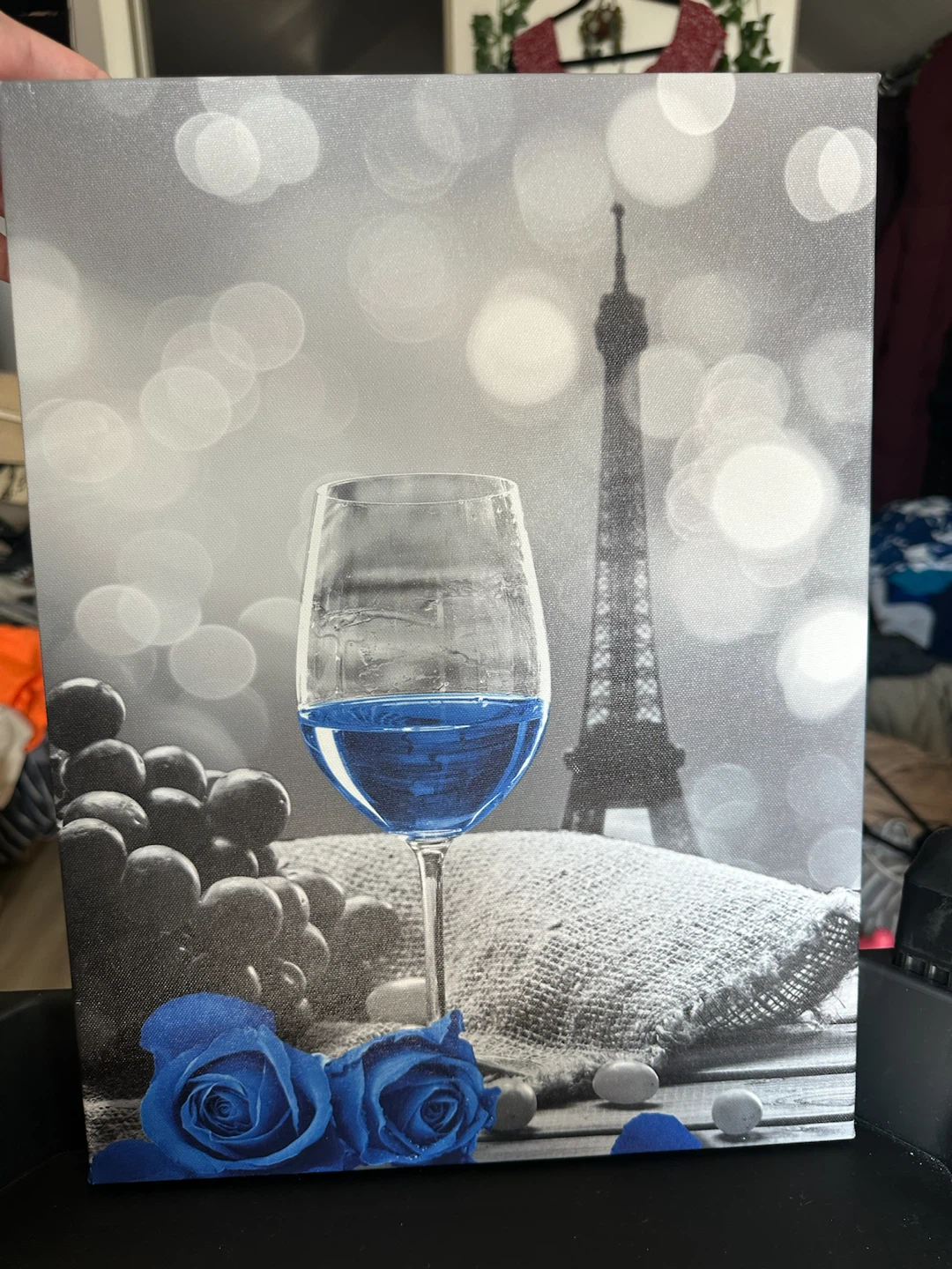 Like New – Beautiful Paris Blue Wall Art