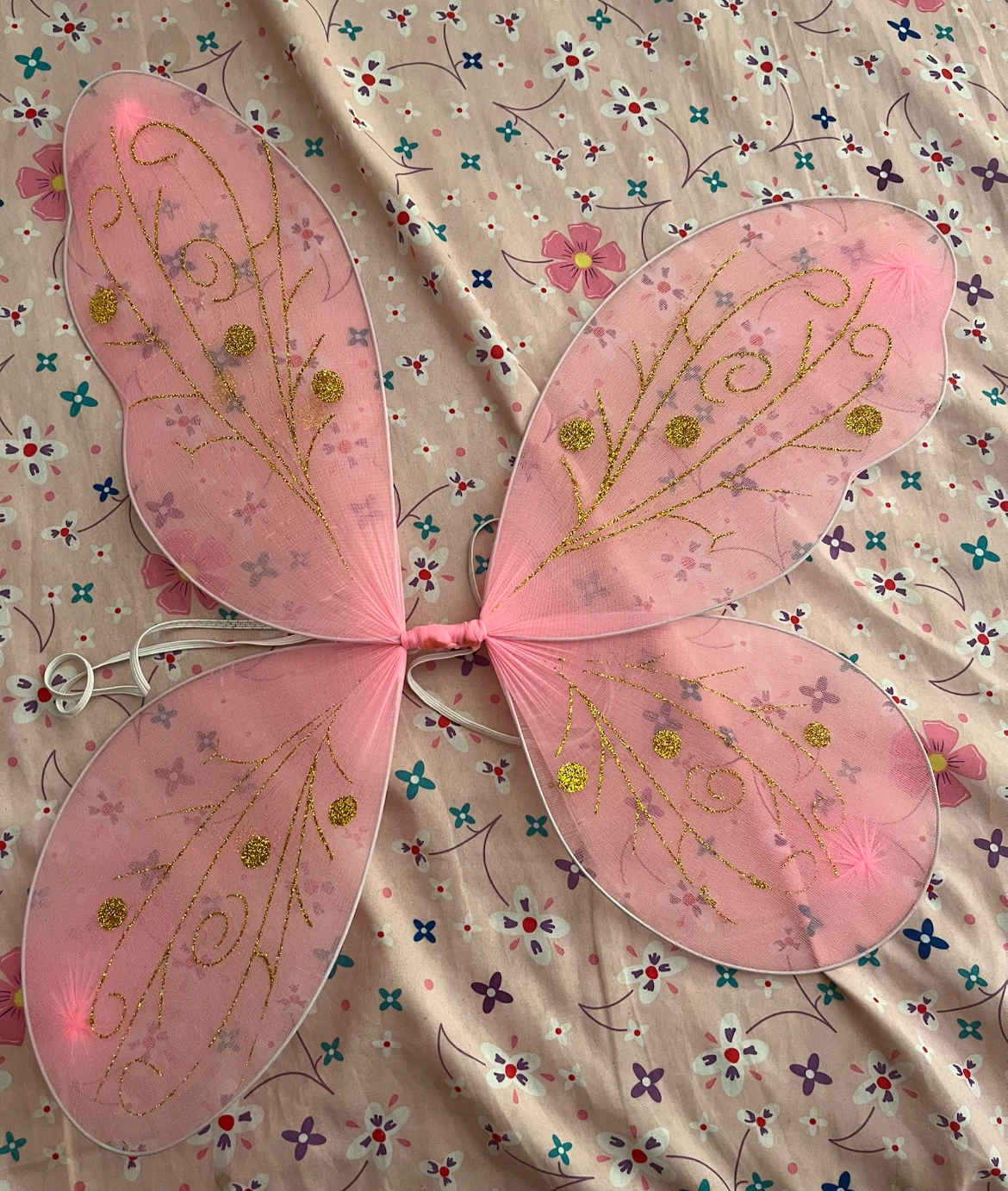 Pink Fairy Wings with Gold Glitter