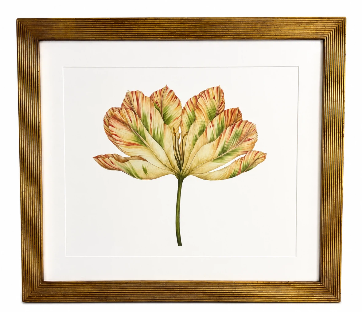 Framed Botanical Tulip Wall Art – Textured Antique Gold Frame