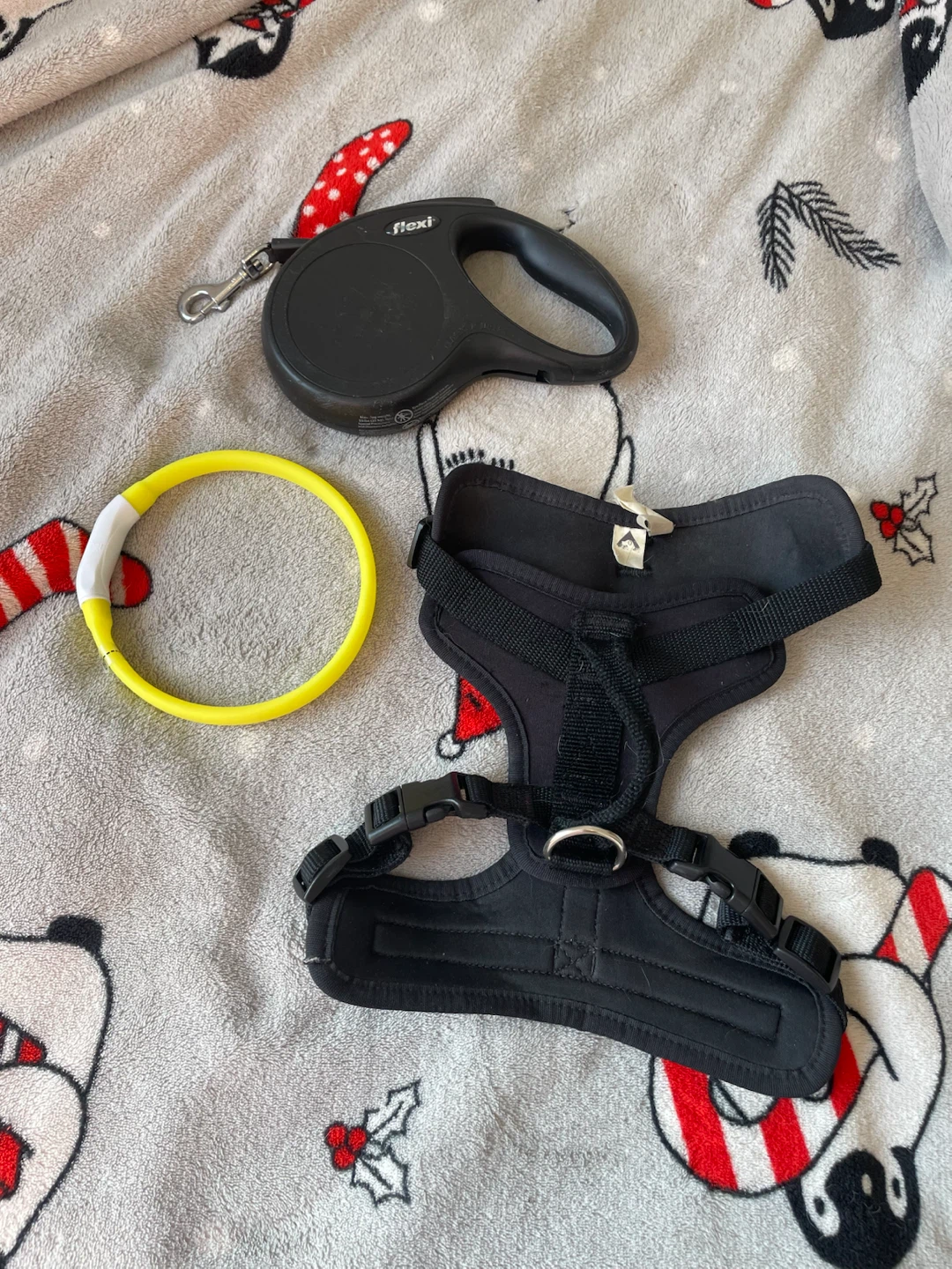 Dog Harness, Leash & Lightup Collar