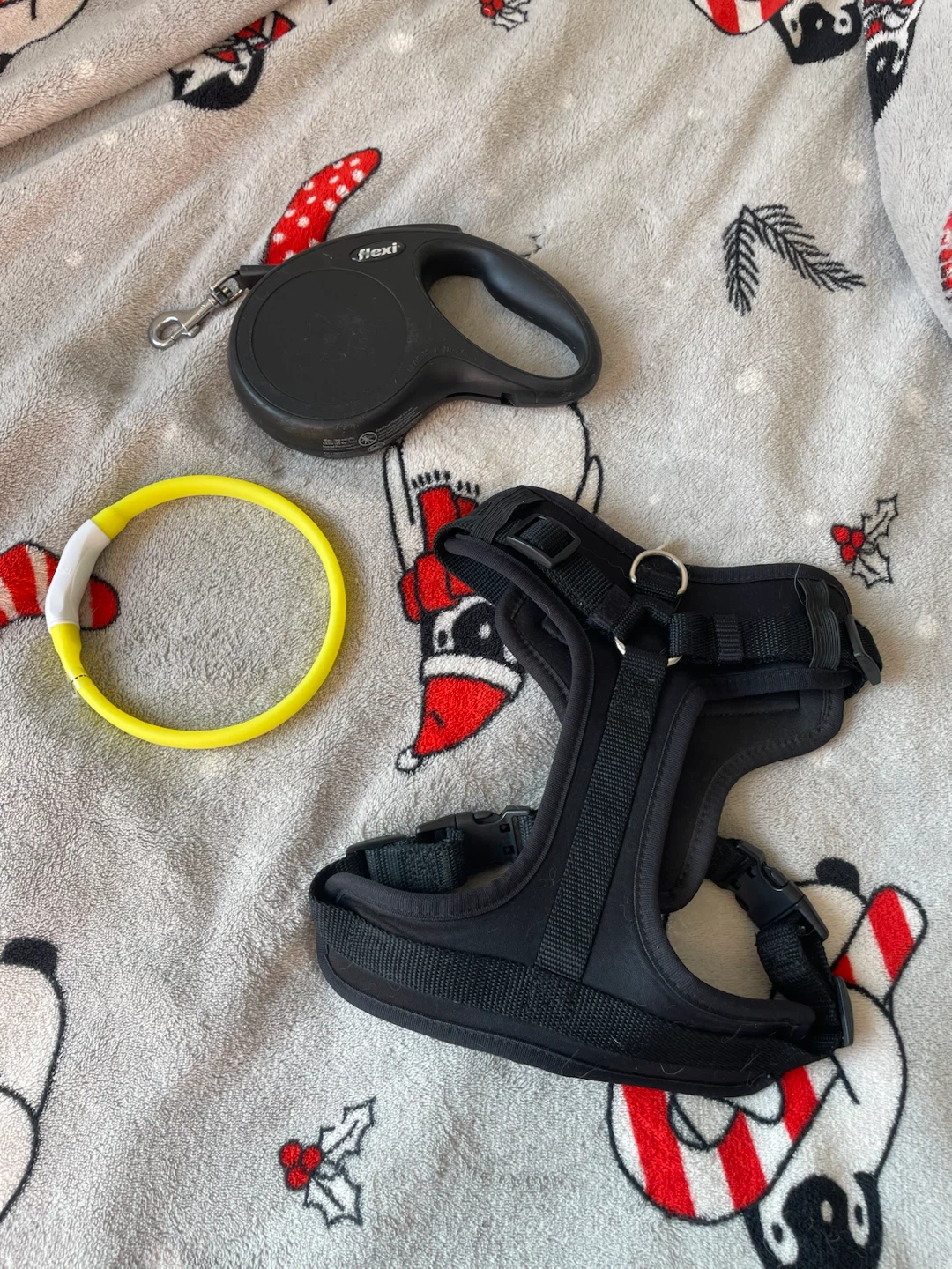 Dog Harness, Leash & Lightup Collar - photo 2