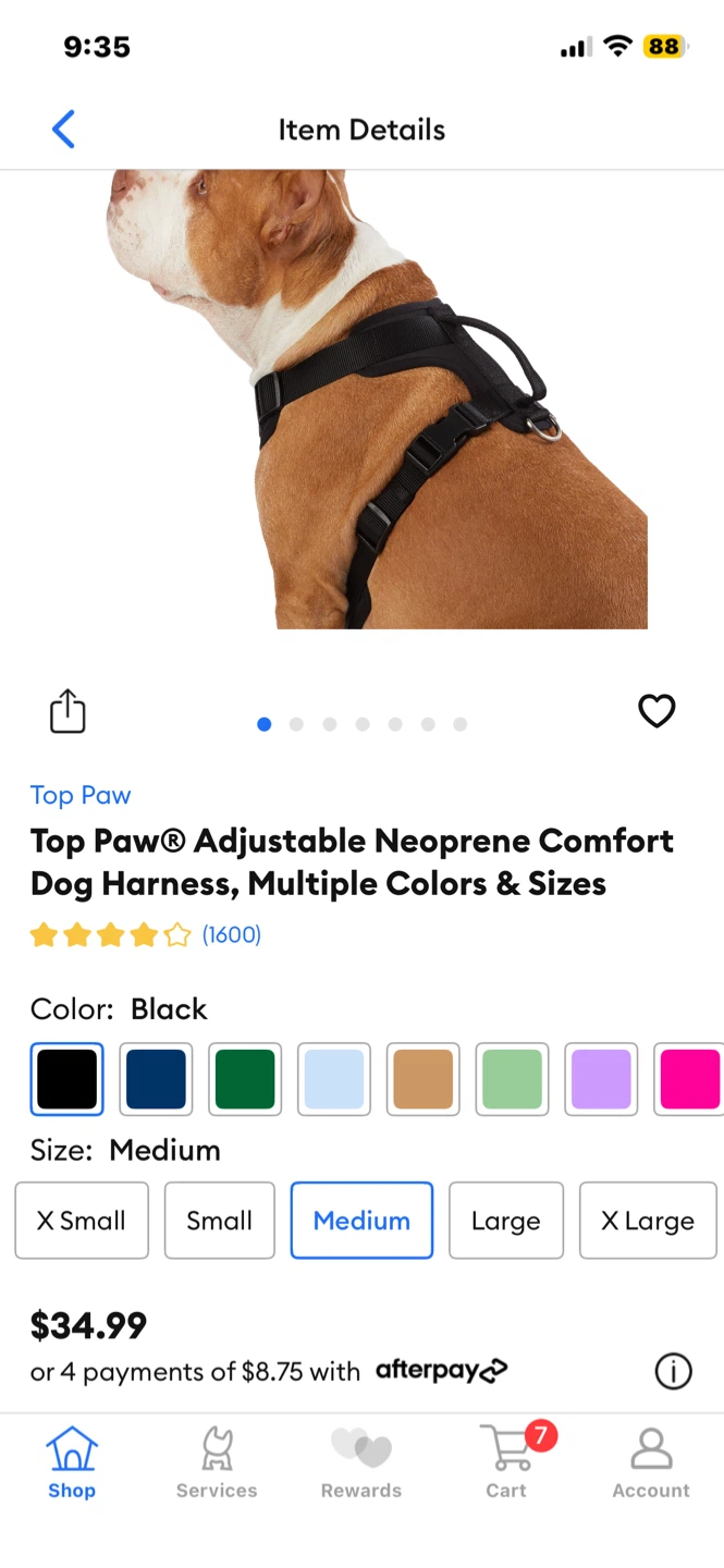 Dog Harness, Leash & Lightup Collar - photo 3