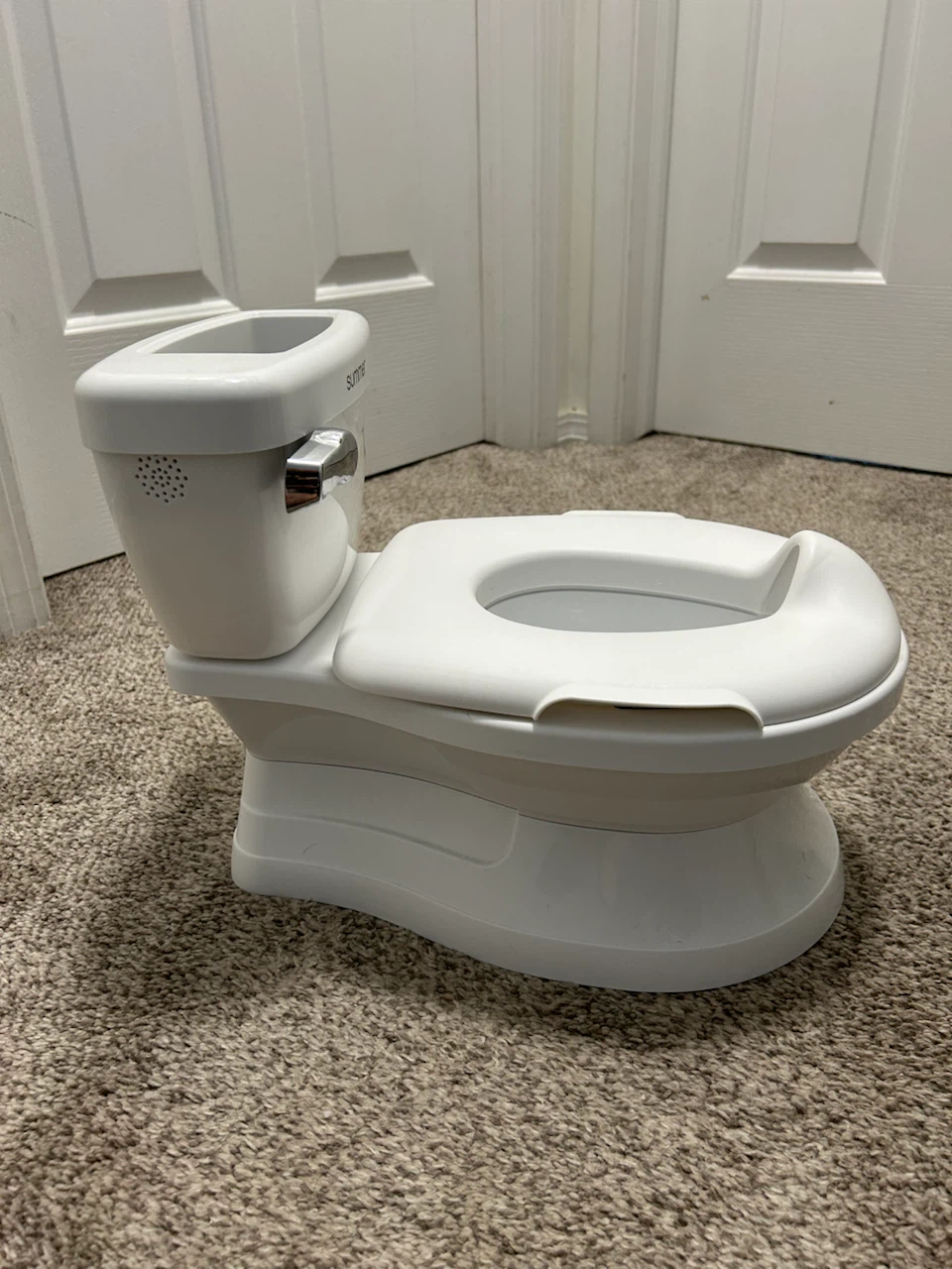 Potty With Flushing Sound