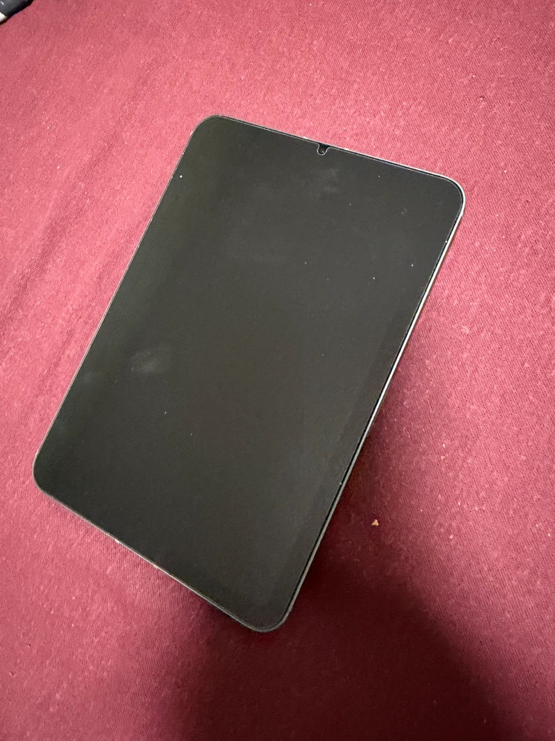 Apple iPad mini (A17 Pro) 256 GB - photo 2
