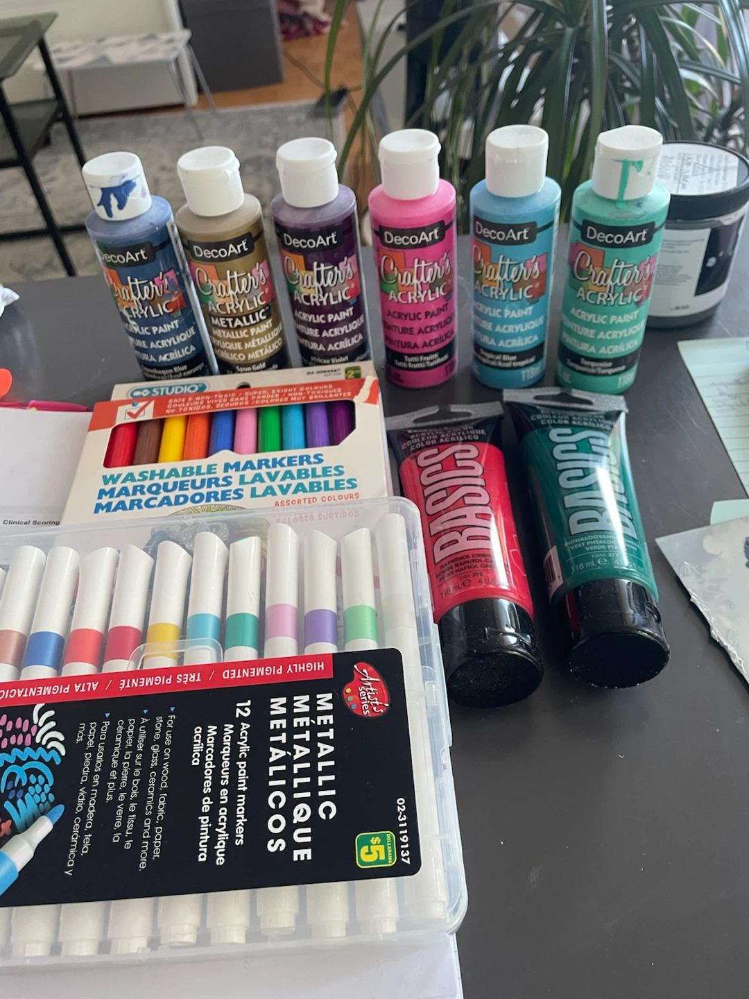 Acrylic Paint & Artist's Series Paint Markers Set
