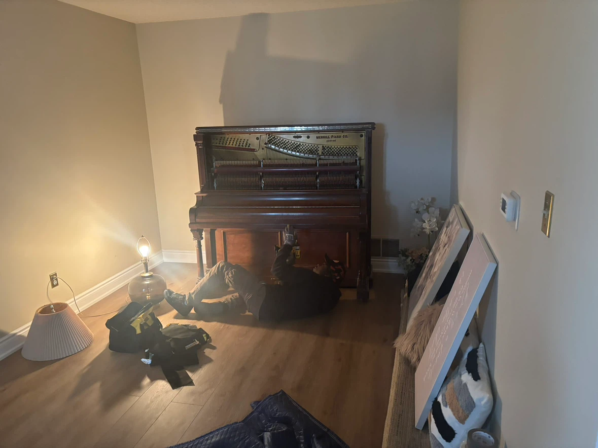 Piano Removal - photo 4
