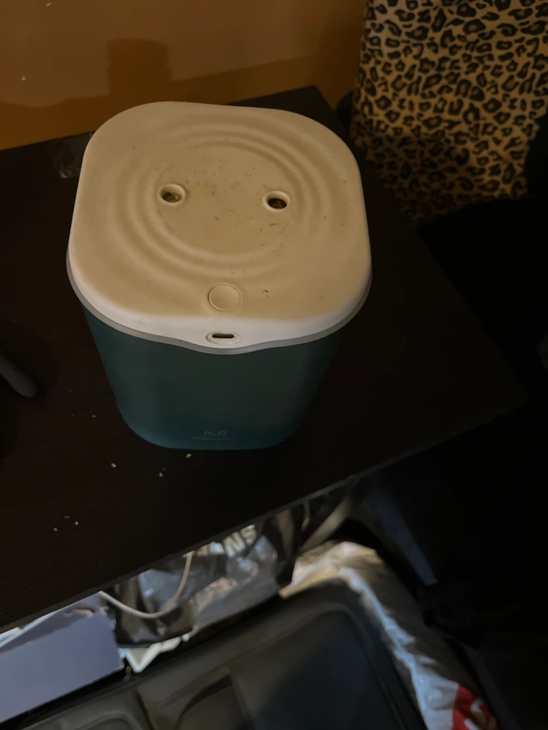 H2O Portable Mini Humidifier