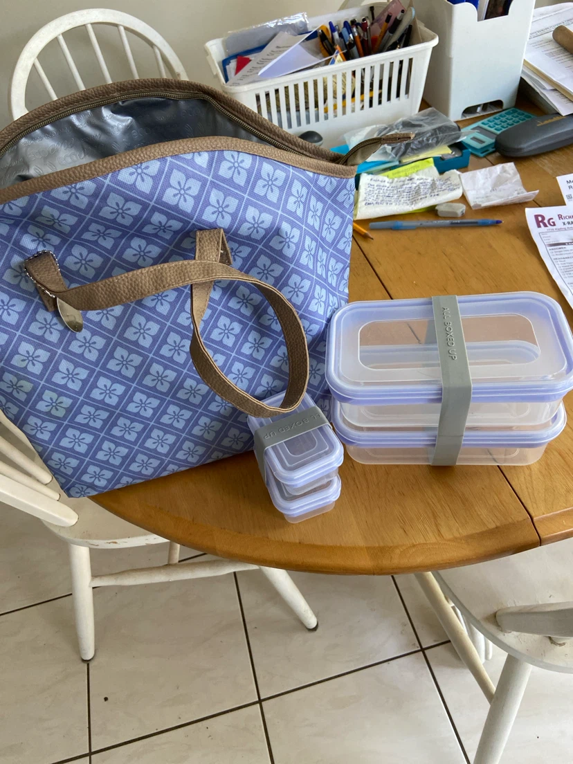 EcoOne Insulated Lunch Bag with "All Boxed Up" Food Containers