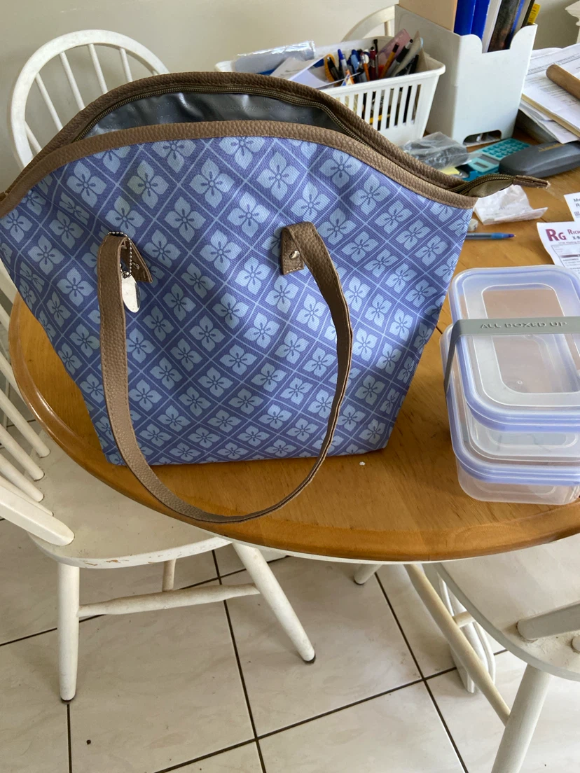 EcoOne Insulated Lunch Bag with "All Boxed Up" Food Containers - photo 4
