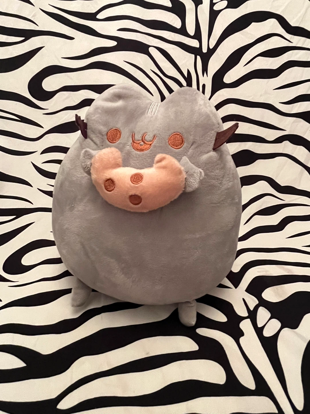 🩷 Pusheen Cat with Cookie Plush  🩷