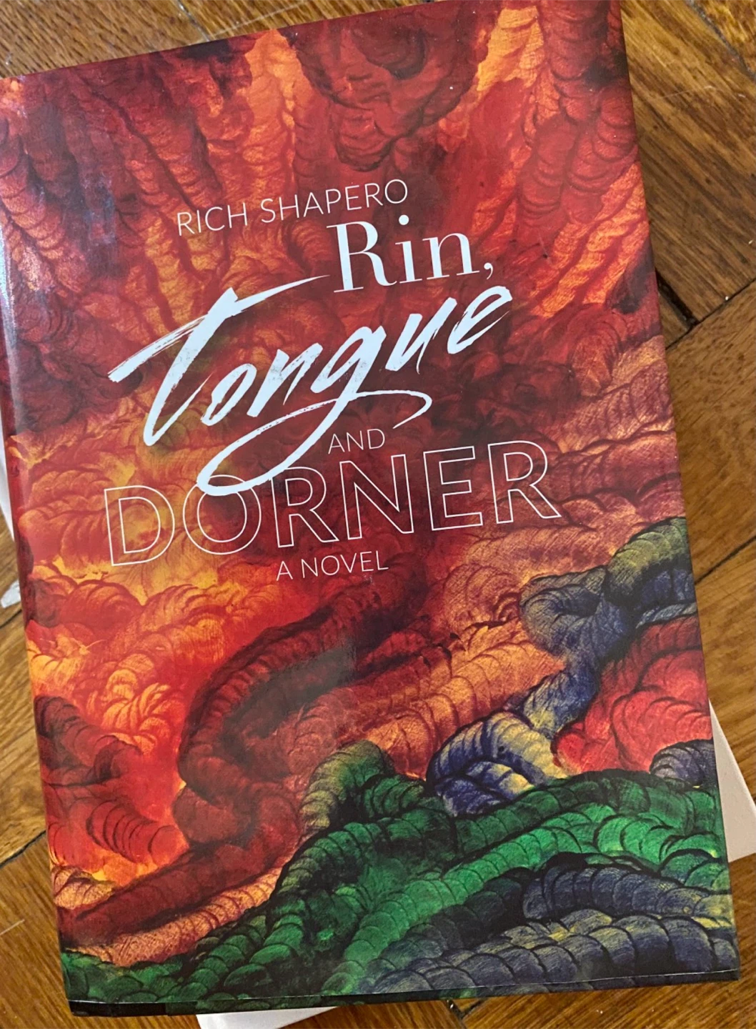 Rin, Tongue and Dorner A Novel by Rich Shapero - photo 3