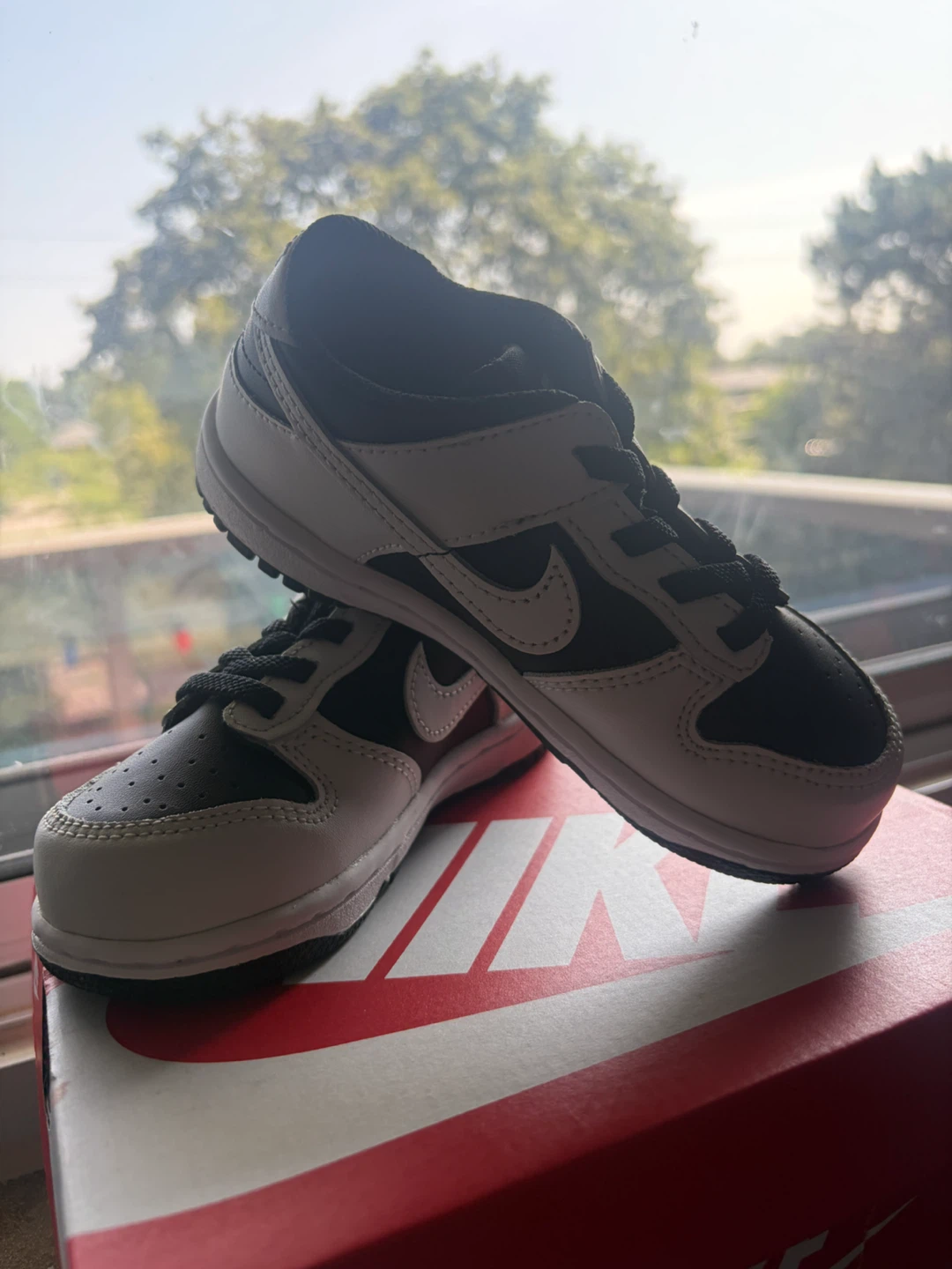 Brand New Nike Dunk Low TDE) Black/Platinum 10.C