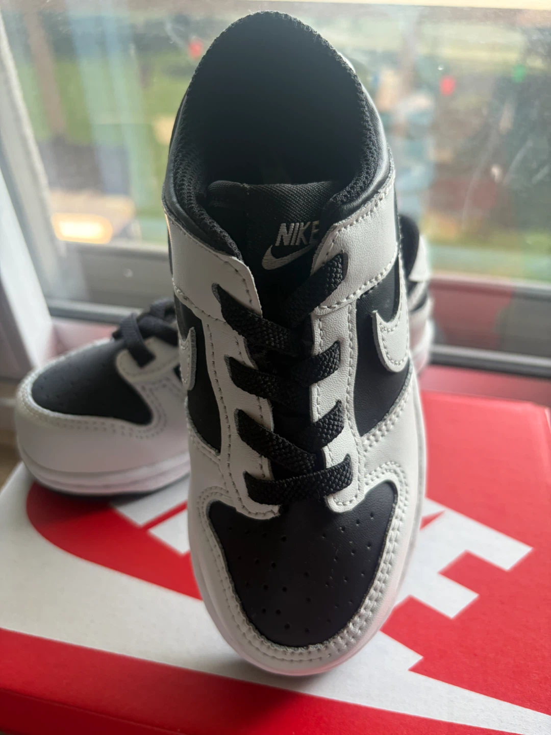 Brand New Nike Dunk Low TDE) Black/Platinum 10.C - photo 4