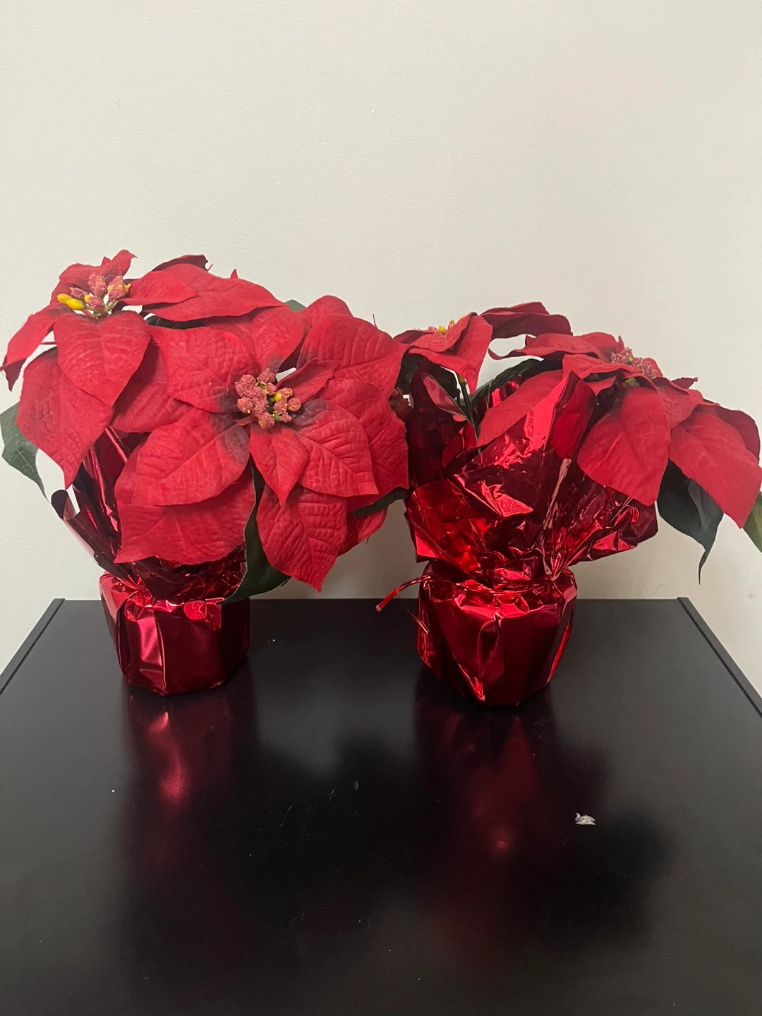 2 Red Poinsettia Plants