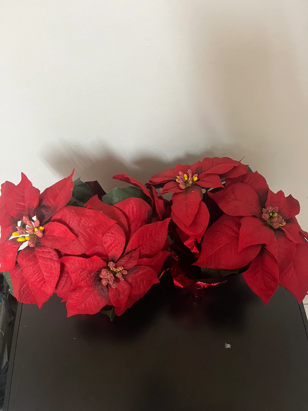 2 Red Poinsettia Plants - photo 2