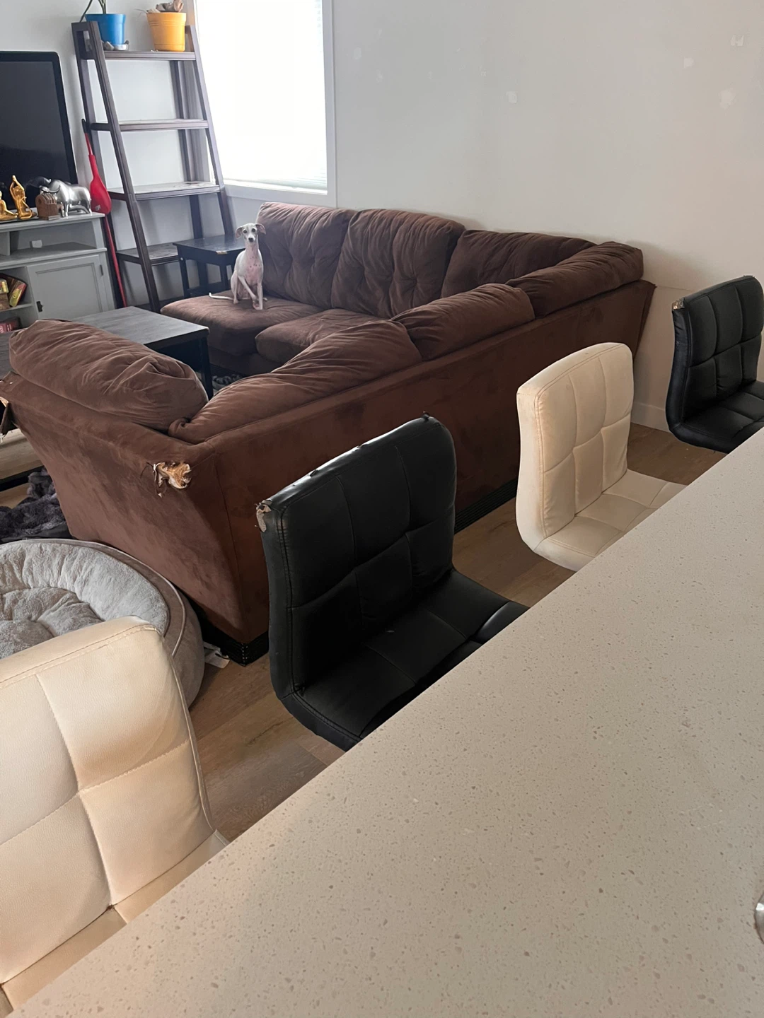 Chairs! - photo 2