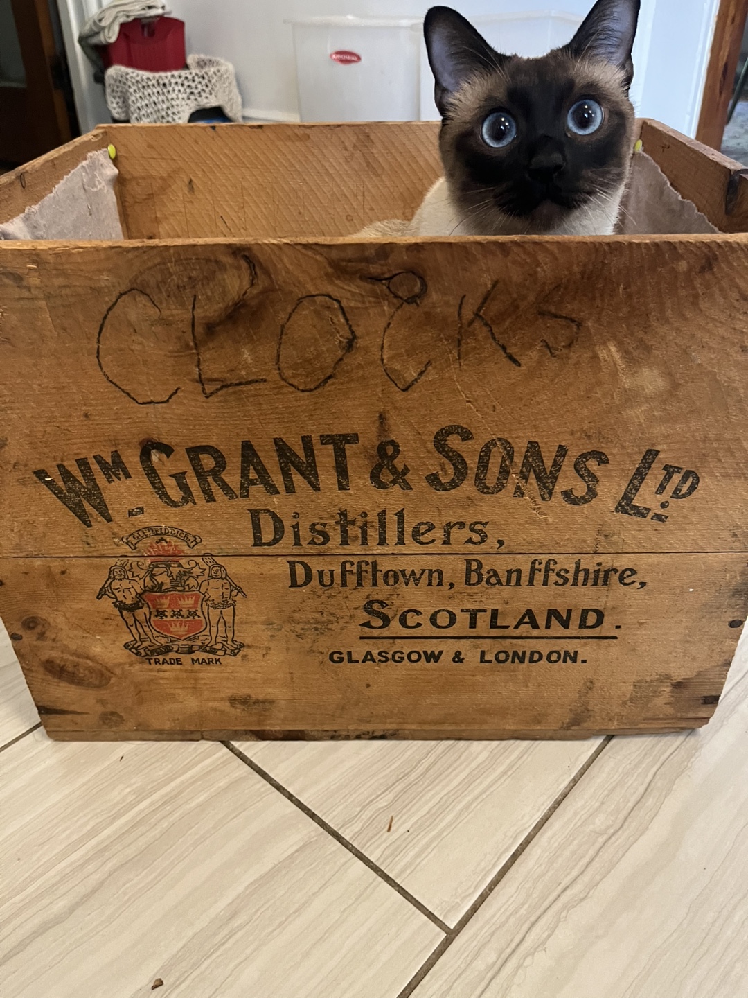 Vintage WM. Grant & Sons Ltd. Wooden Crate - photo 4