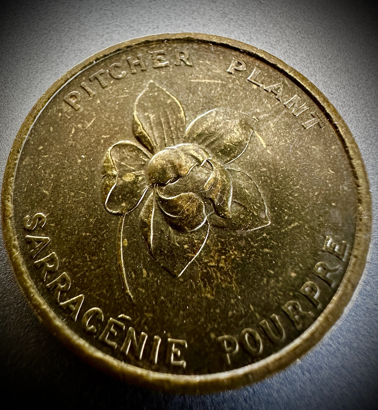 1949 Newfoundland Coin - photo 3