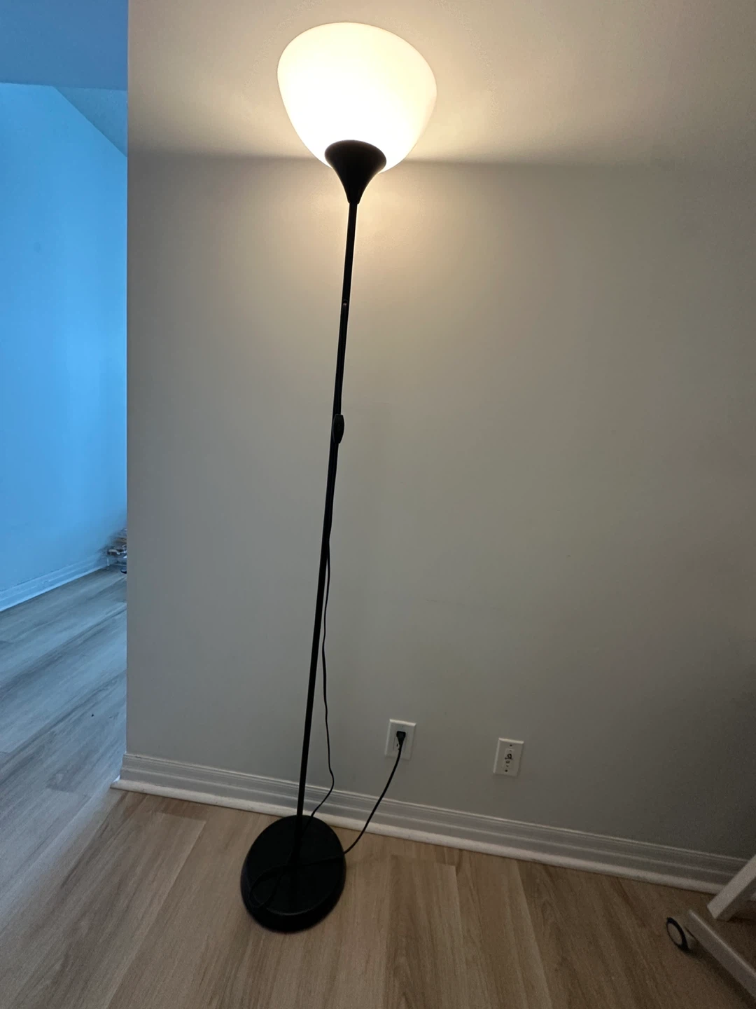 Black Floor Lamp with Frosted Shade
