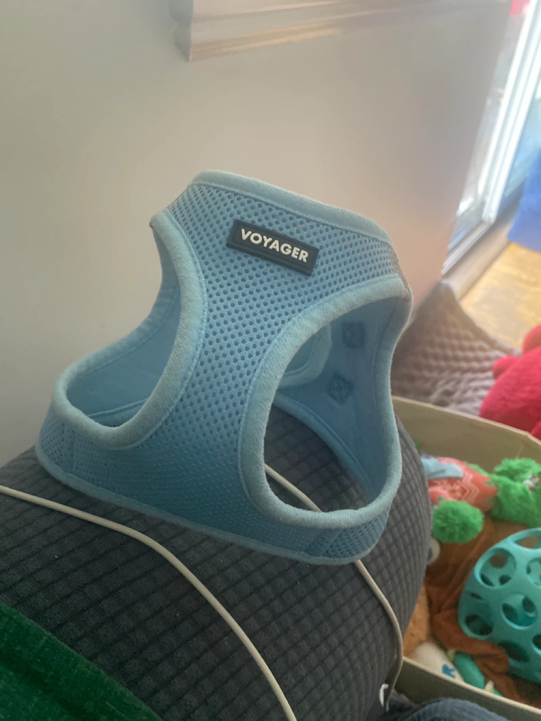 Voyager Light Blue Dog Harness