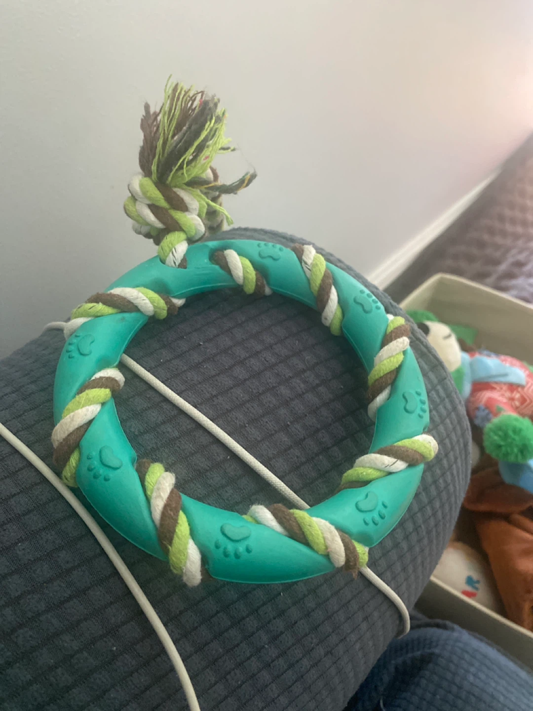Teal Rope Ring Dog Toy