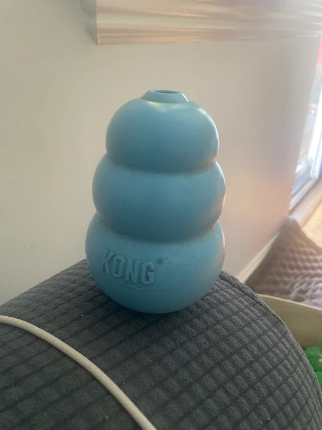 KONG Dog Toy