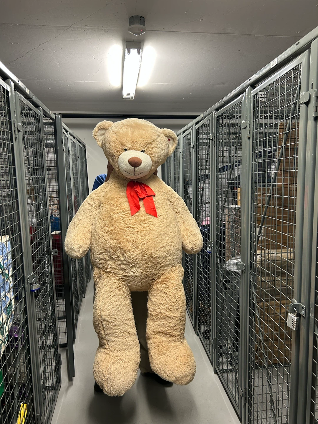 Giant Teddy Bear with Red Bow