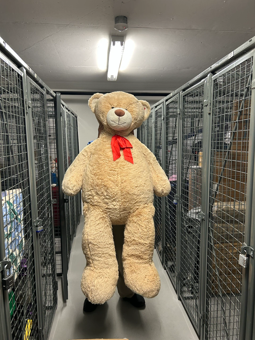 Giant Teddy Bear with Red Bow - photo 2