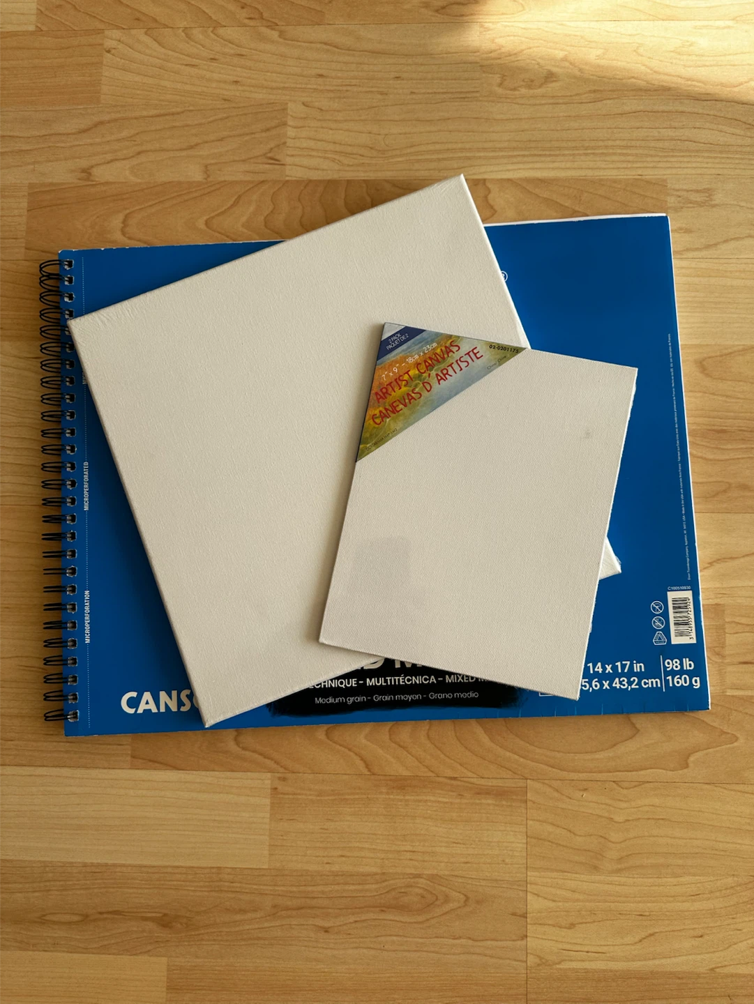 Art Supplies – 2 Canvases & Mixed Media Paper
