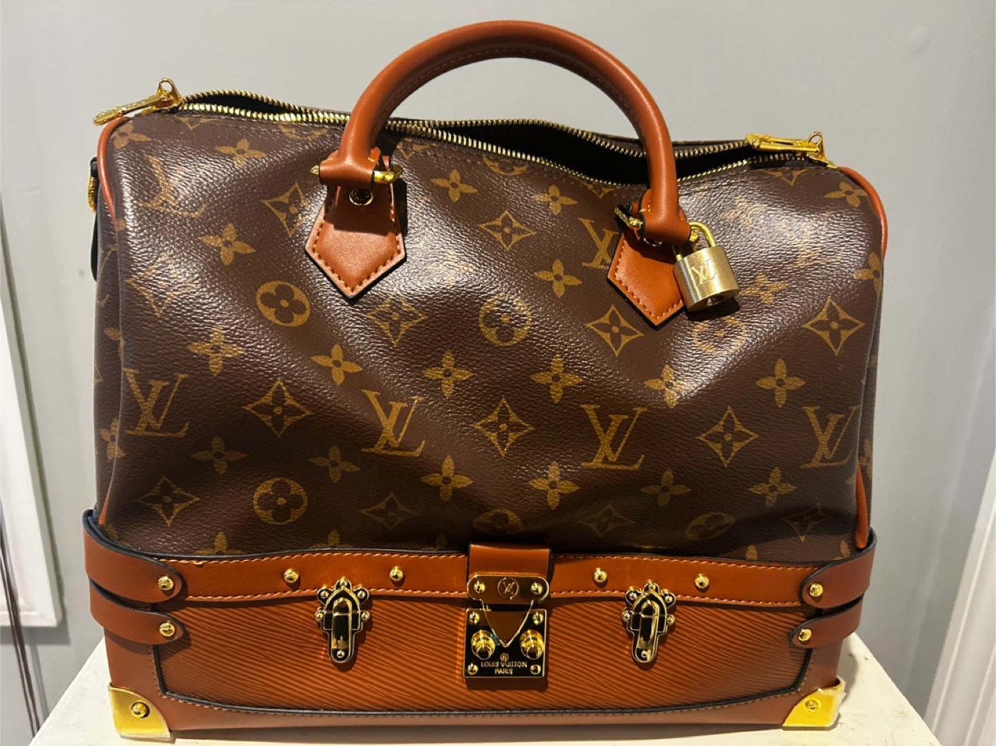 Louis Vuitton Speedy Bag