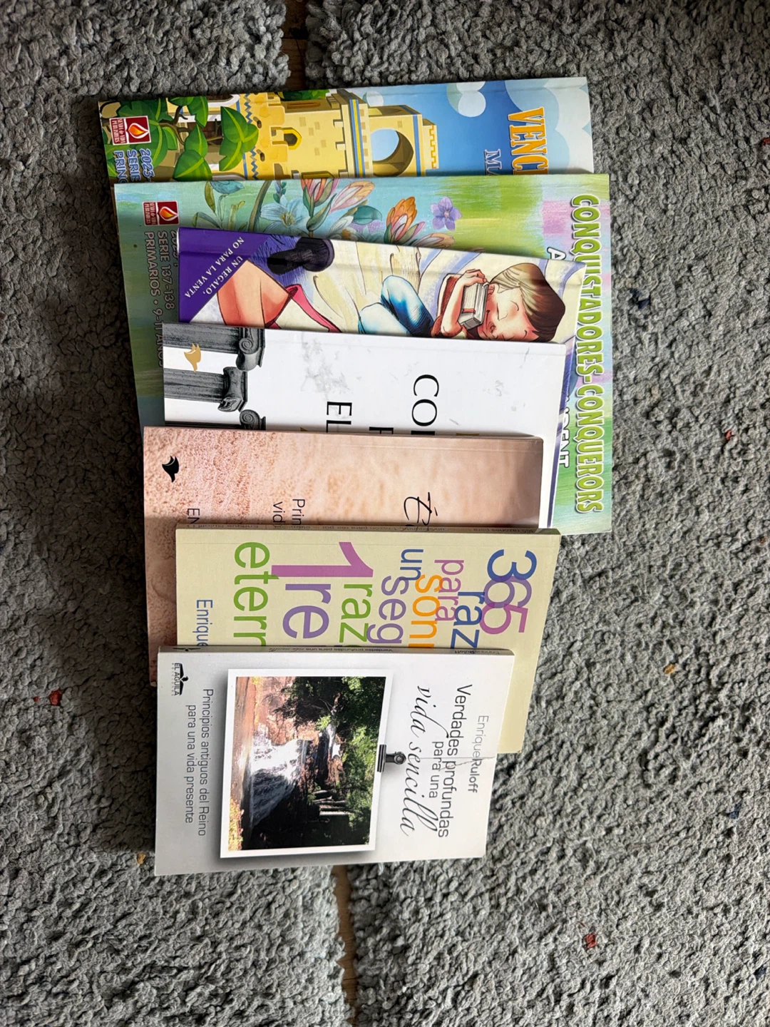 Assorted Spanish Language Books