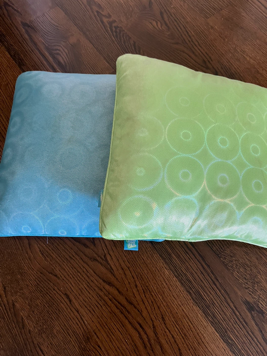 Two Decorative Pillows - Blue & Green