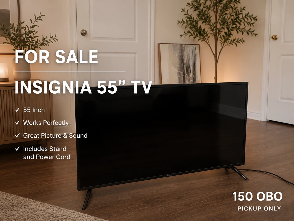 Insignia 55" TV