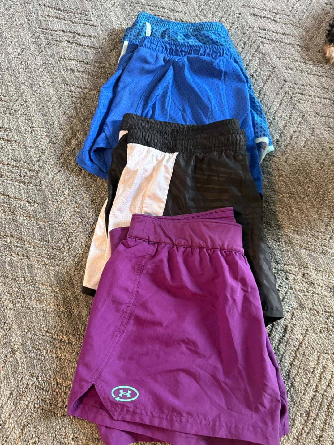 Women’s (M) Athletic /Running Shorts Bundle