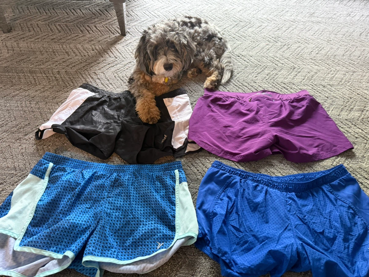 Women’s (M) Athletic /Running Shorts Bundle - photo 2