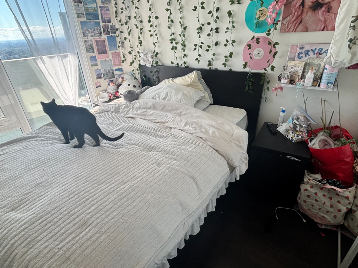 IKEA MALM Bed Frame with Storage Drawers - Dark Brown - photo 3