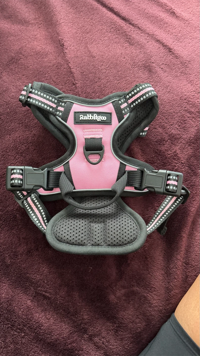 Rabbitgoo Dog Harness - Pink SIZE S - photo 5